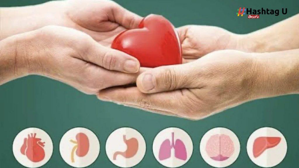 Organ Donation (1)