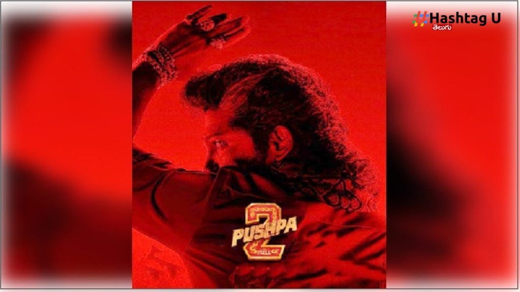 Pushpa 2