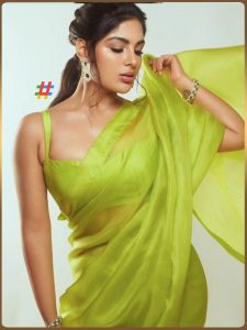 Samyuktha (3)
