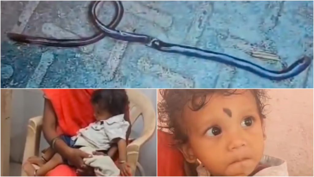 Toddler Bites Snake