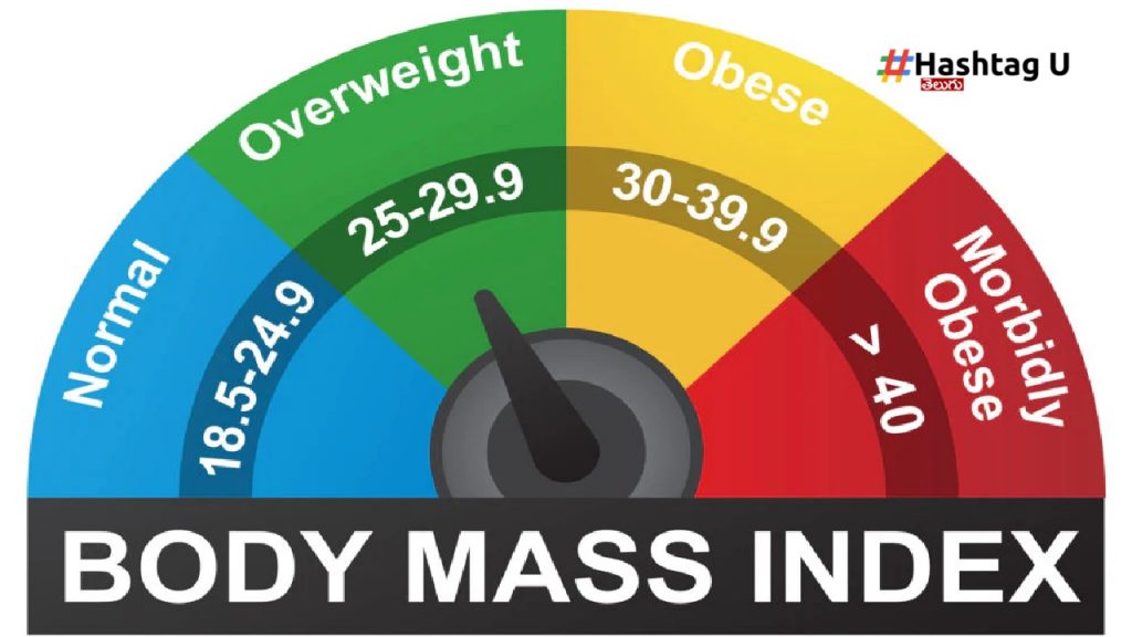Body Mass Index
