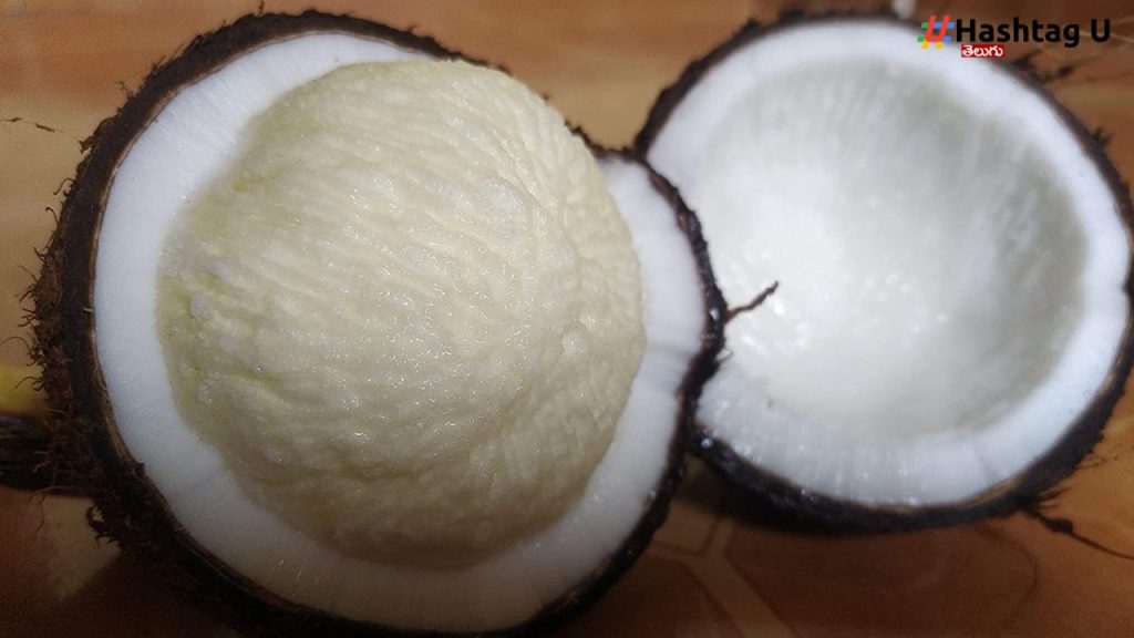 Coconut Flowers
