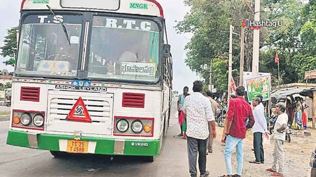 Free Bus Drivers