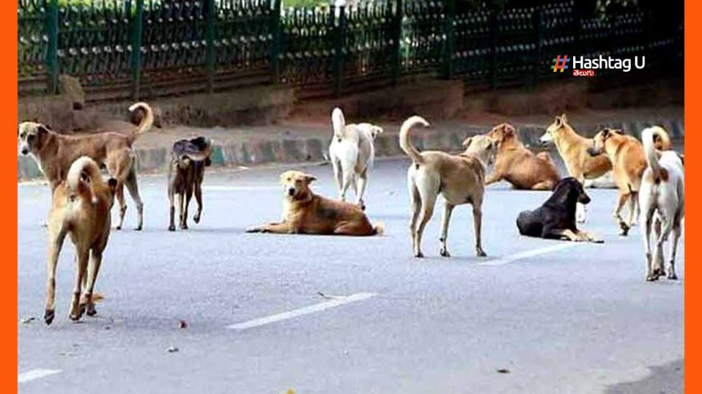 Harish Rao Street Dogs Atta