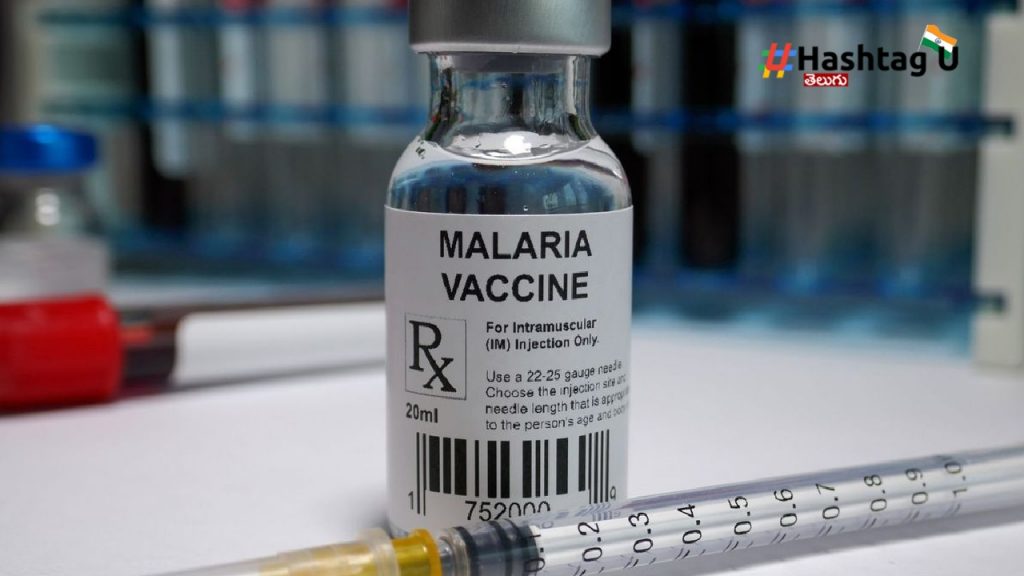 Malaria Vaccine