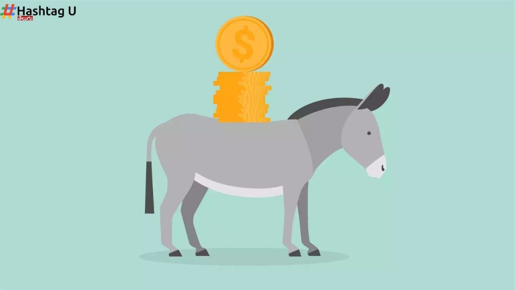 Money Mule Account