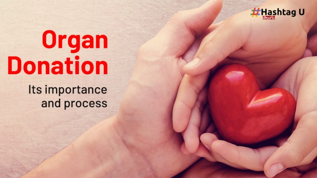 Organ Donation