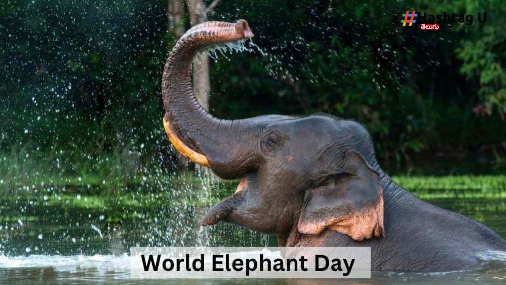 World Elephant Day