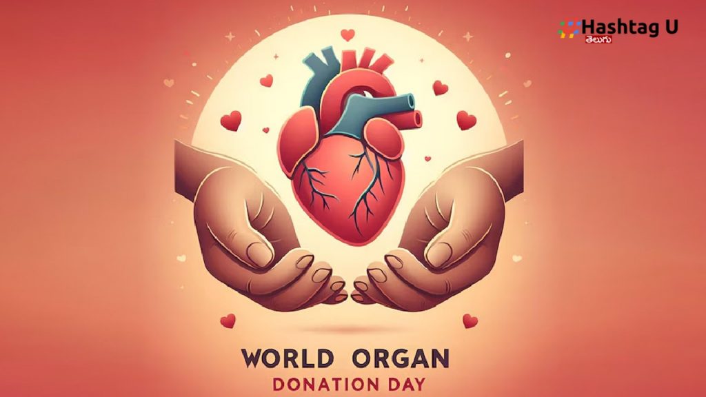 World Organ Donation