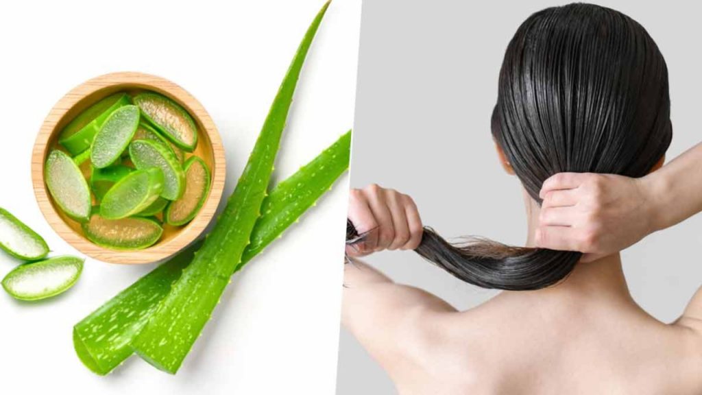 Aloevera