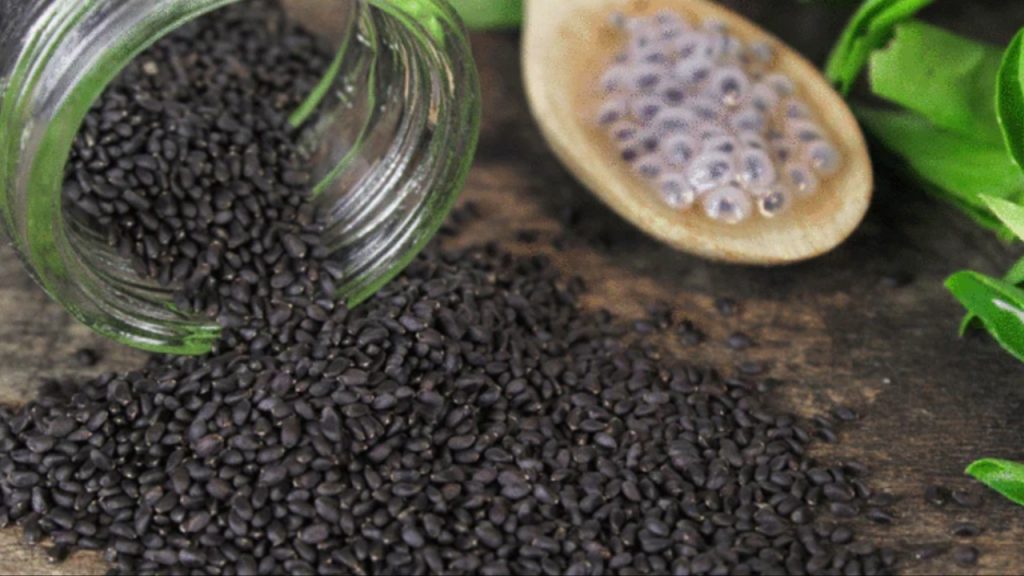 Basil Seeds