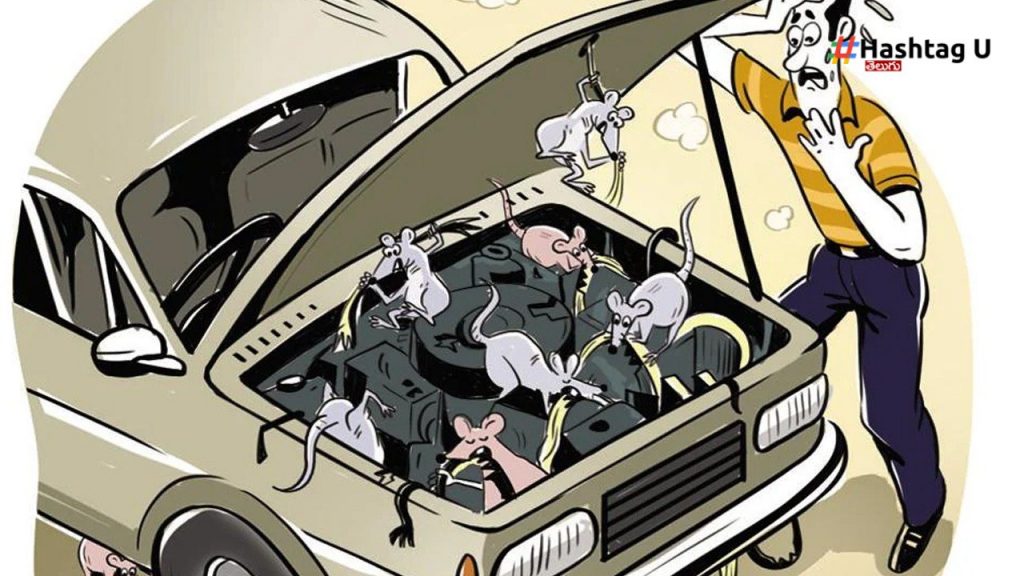 Car Insurance