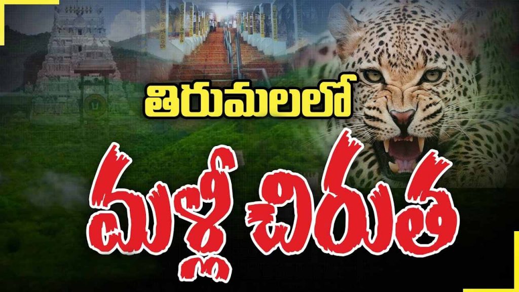 Cheetah Hulchul In Tirumala