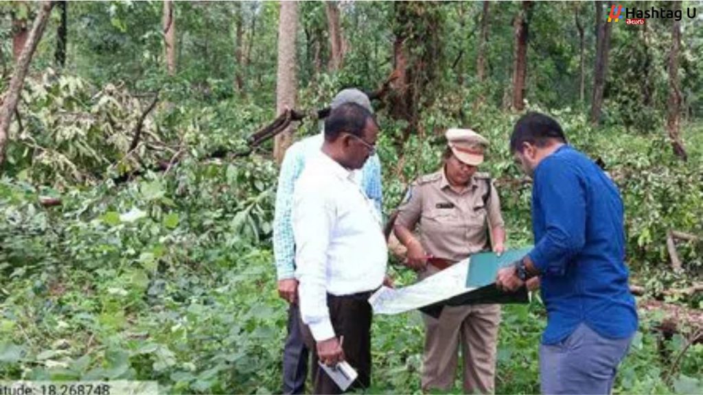 Cloud Burst In Tadwai And Pasra Forests