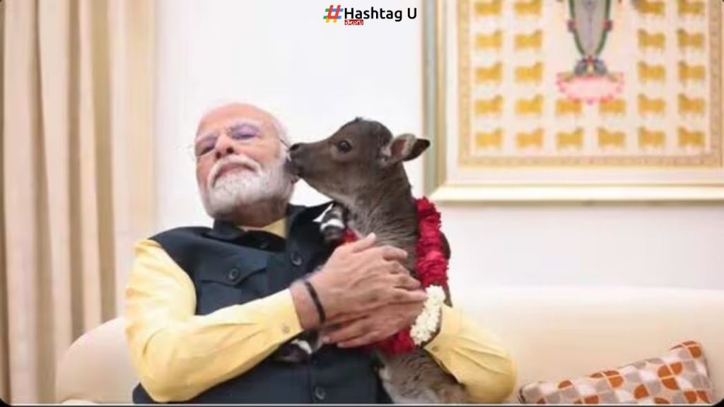 Deepjyoti Pm Modis Family