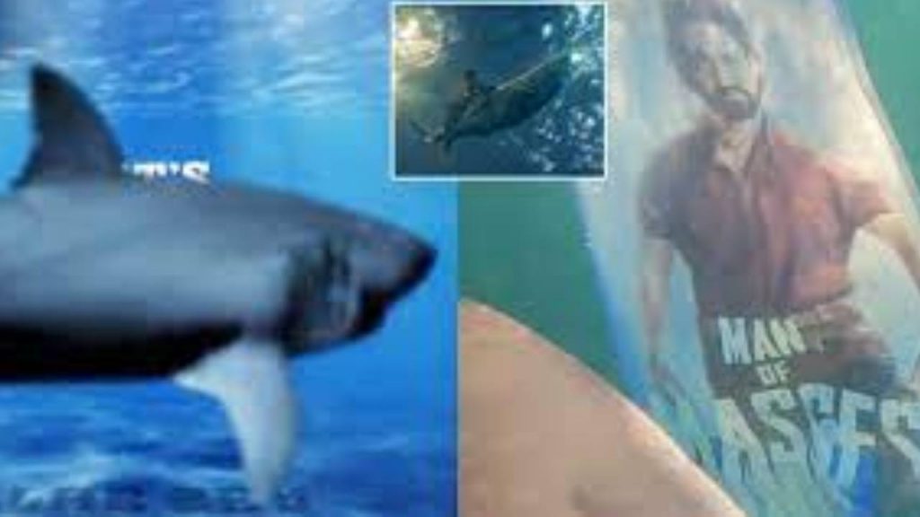 Devara Fans Crazy Pramotions With Real Shark