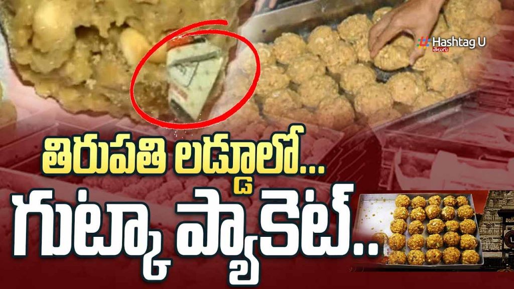 Gutka Packet In Tirupati La