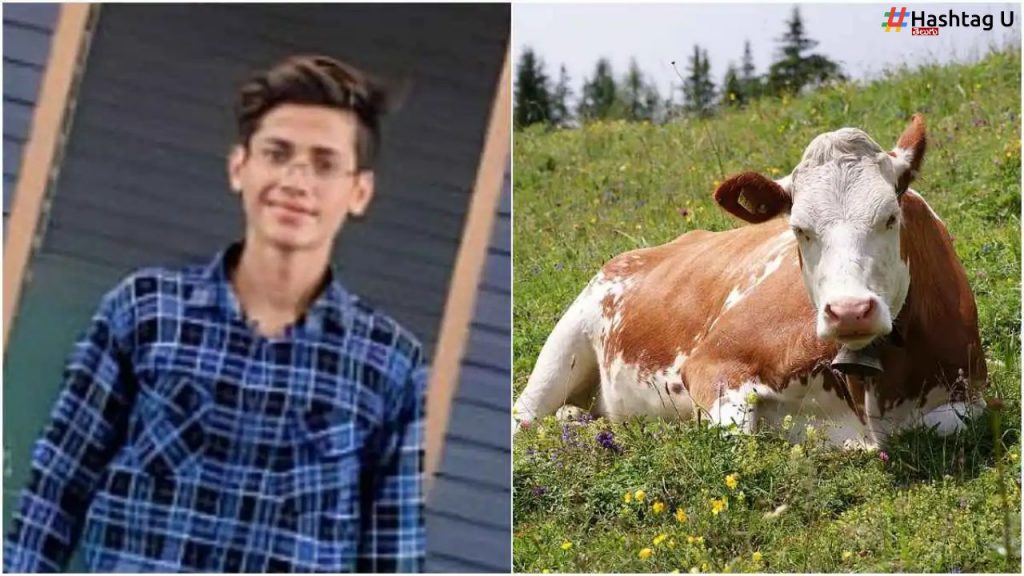 Haryana Student Cow Smuggler Faridabad
