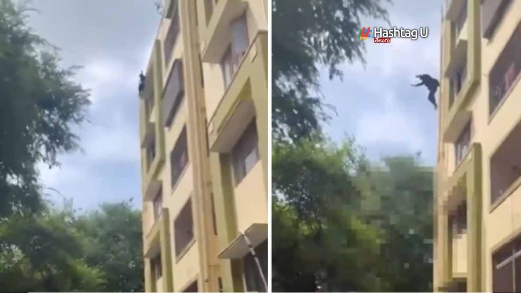 Hyderabad Woman Jumps To De