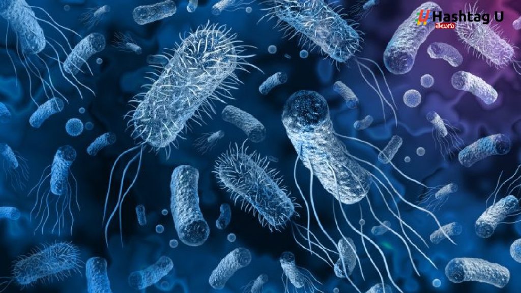Multi Drug Resistance