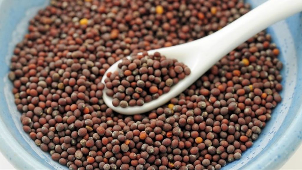 Mustard Seeds