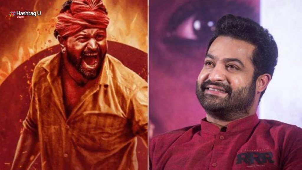 Ntr In Kantara 2 What Rakshith Shetty Cooking