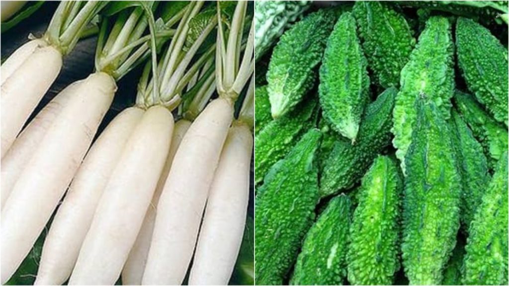 Radish