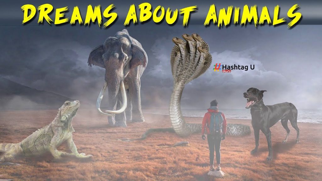 Seeing Animals In Dream Animals
