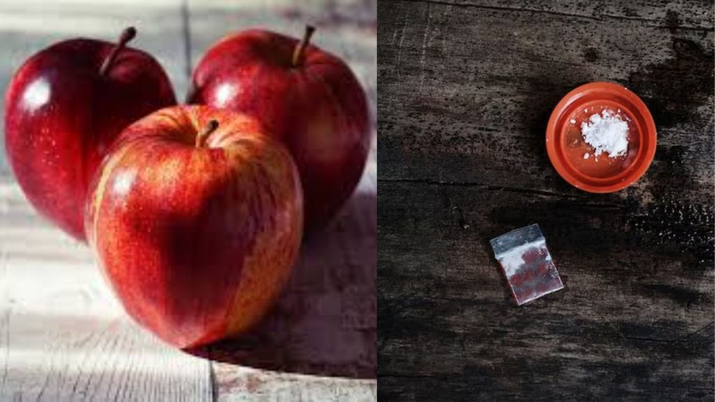 Shimla Apple Trader Drugs Racket