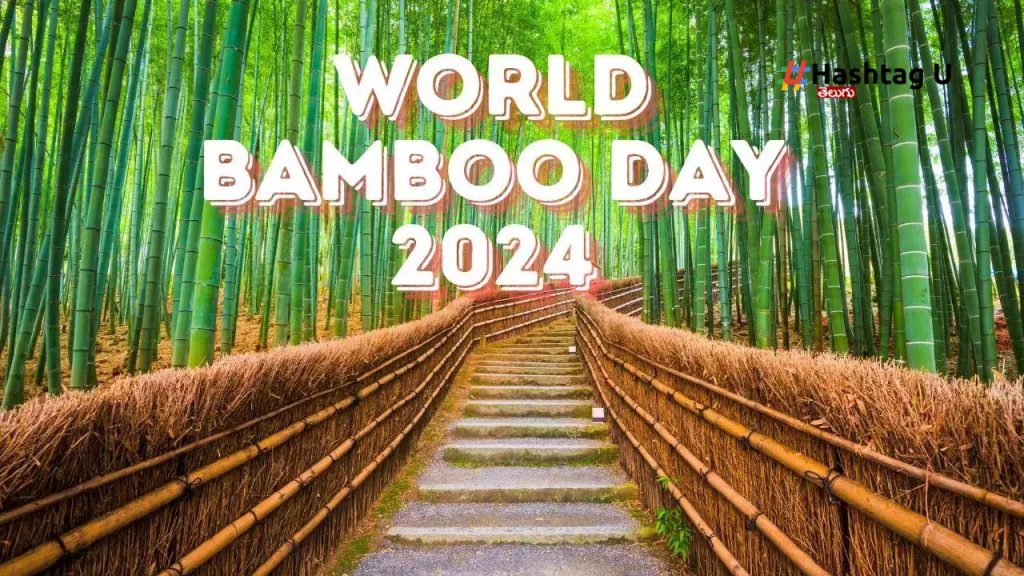 World Bamboo Day 2024