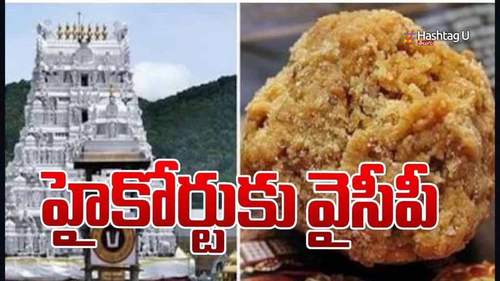Ycp Approached High Court