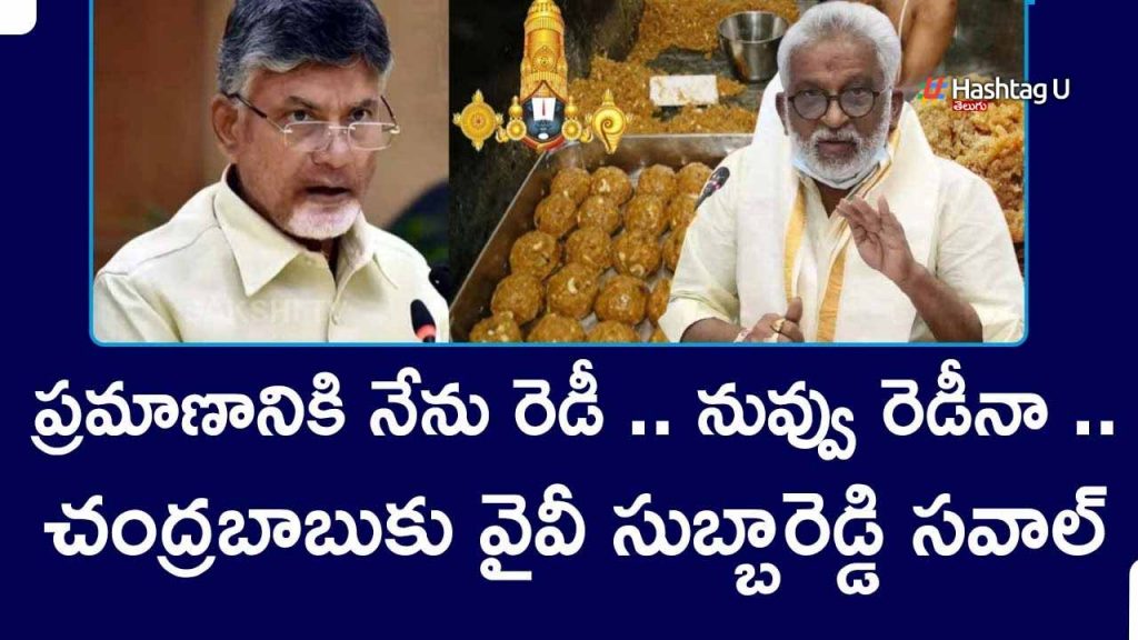 Yv Subbareddy Challenge To