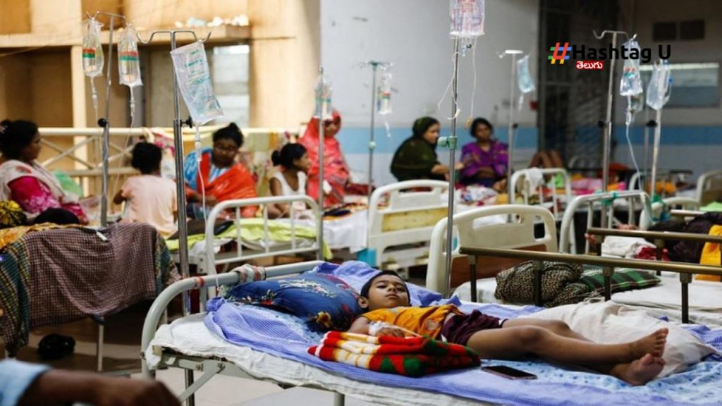 Dengue Fever, Greater Warangal