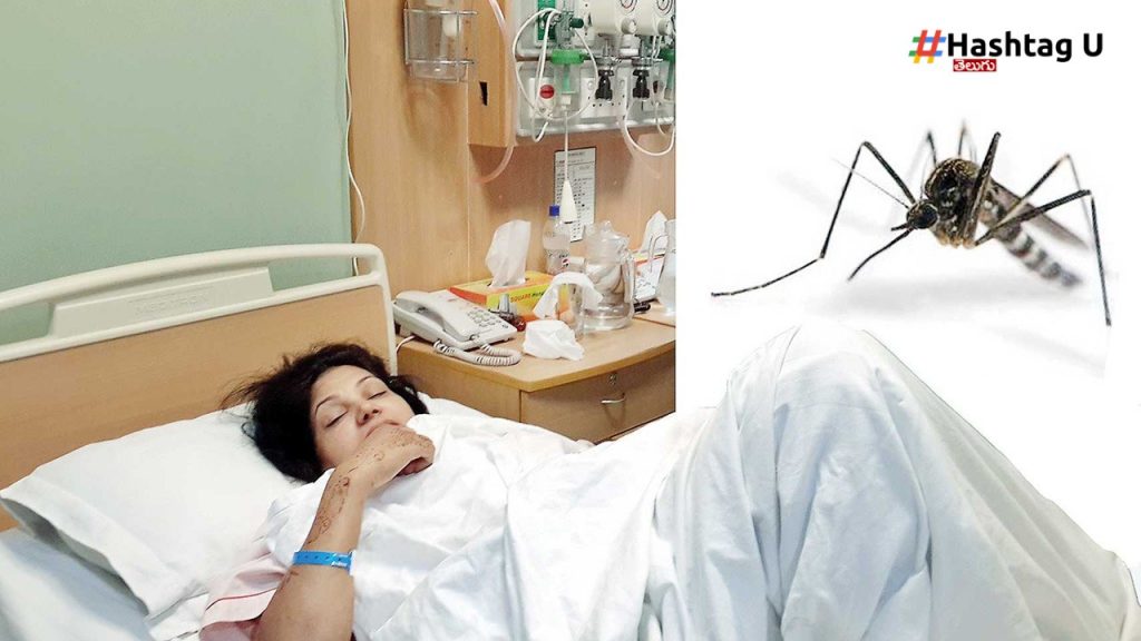 Dengue, Platelets