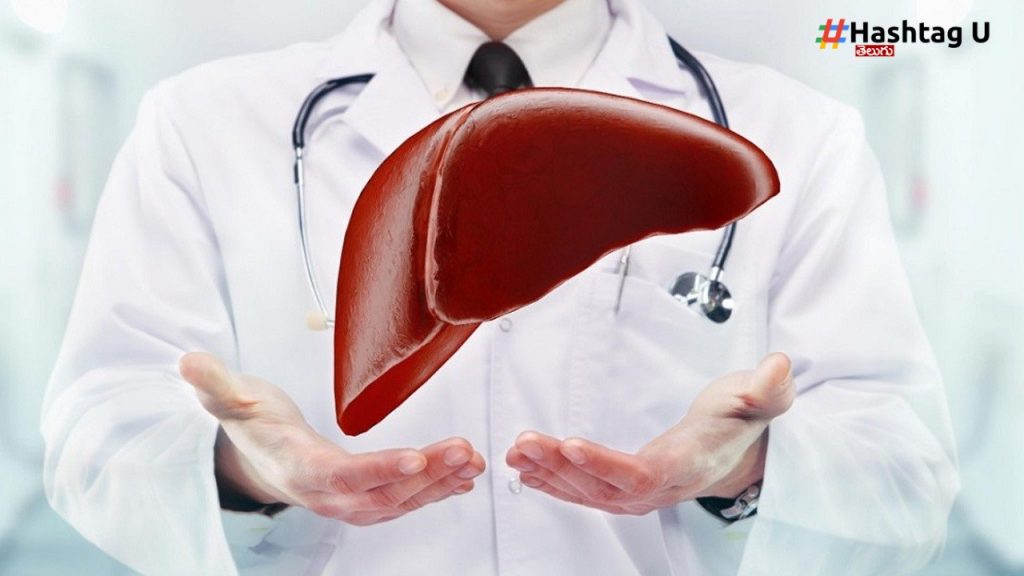 Liver Tips