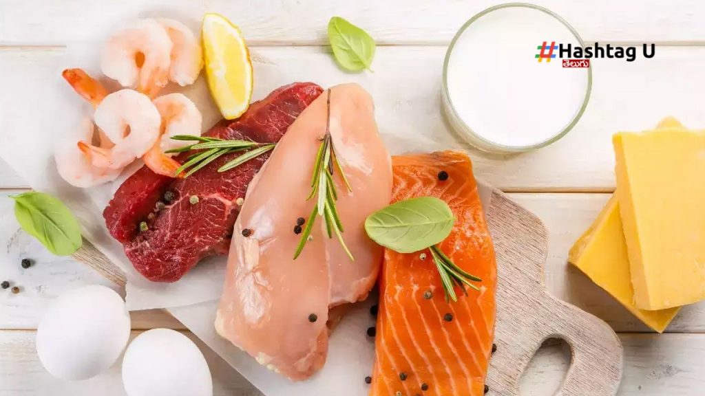Meat And Dairy Proteins