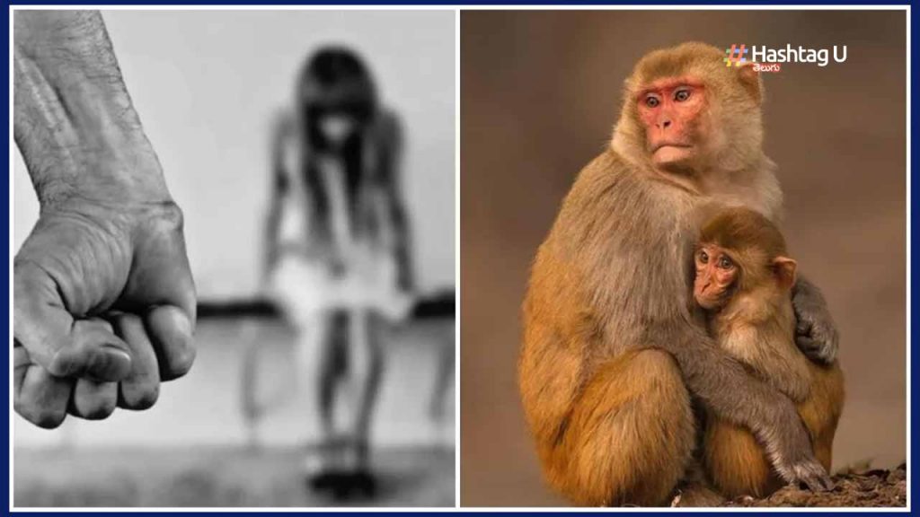 Monkey Saves Girl