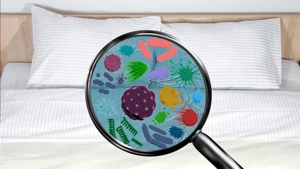 Bedsheet Cleaning