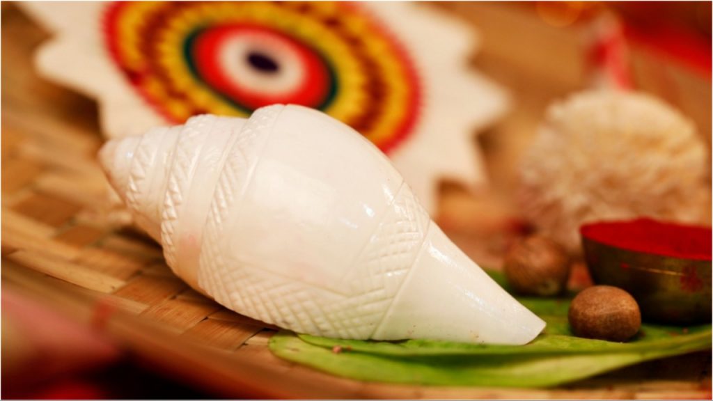 Conch