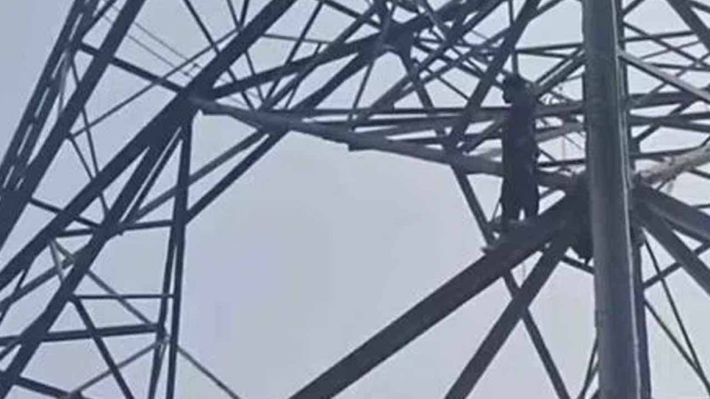 Delhi man climbs electric pole, demands to speak with PM Modi, CM Atishi