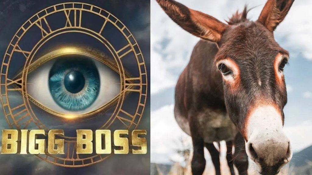 Donkey Enter Into Bigg Boss House With A Contestent