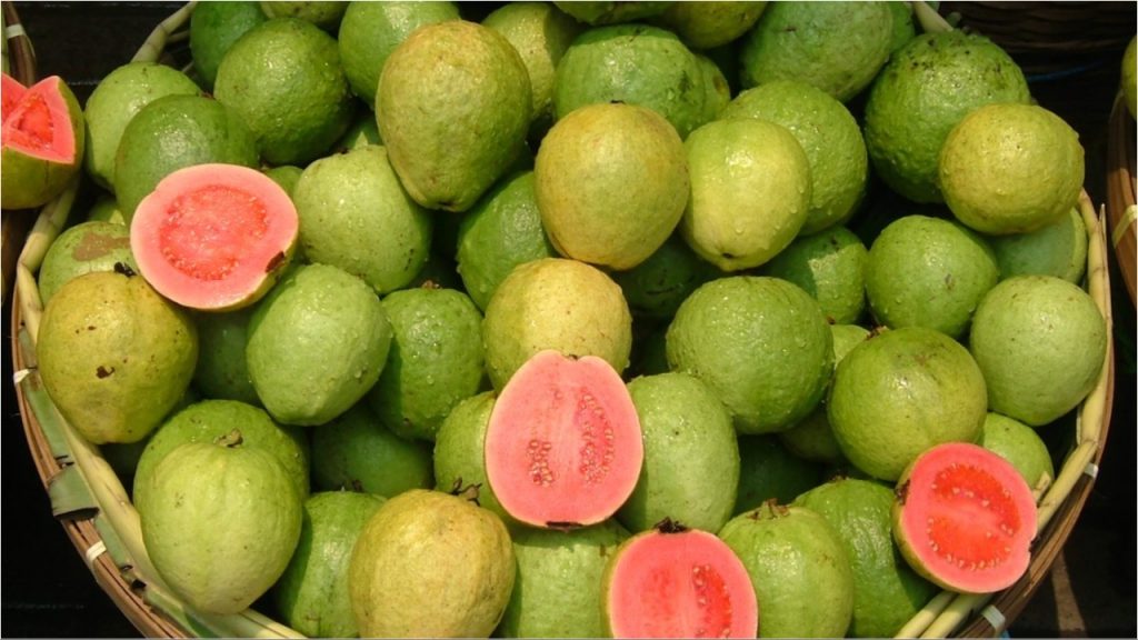 Guava