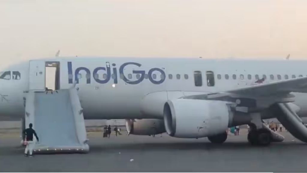Indigo