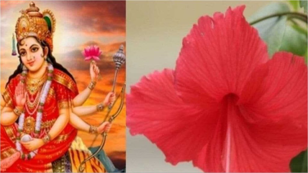 Navratri