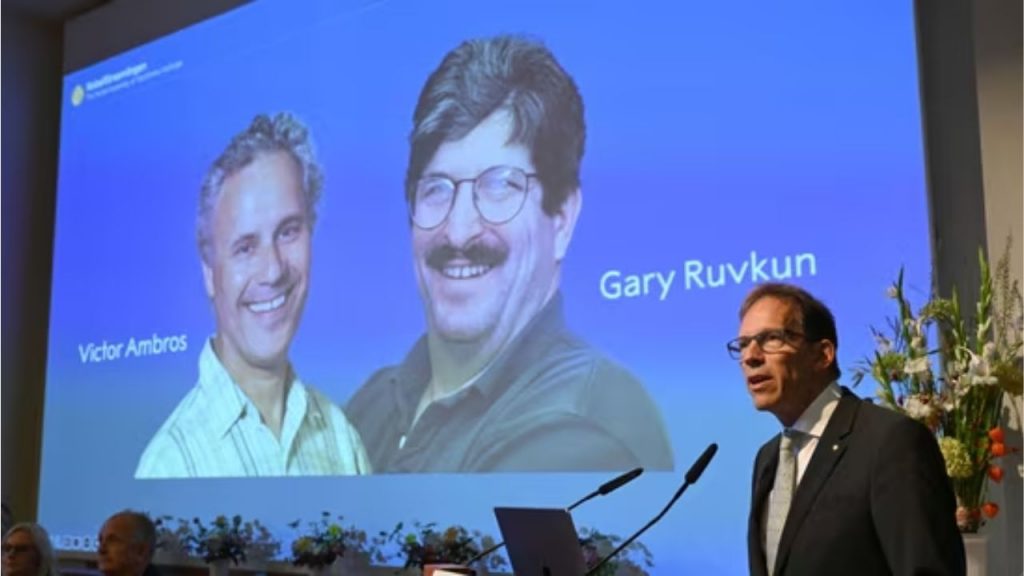 Nobel Prize 2024 Medicine Victor Ambros Gary Ruvkun