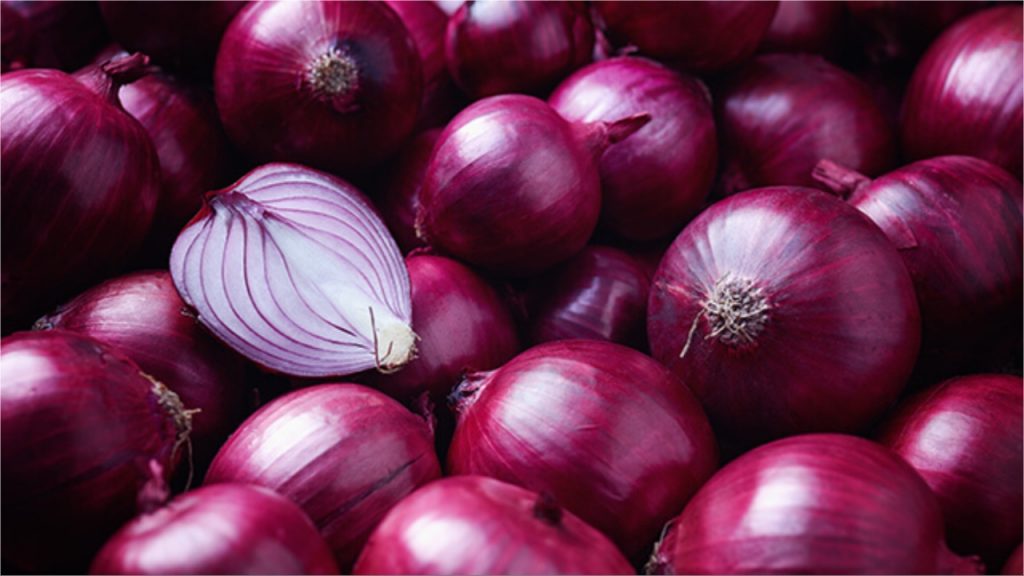 Onion Price