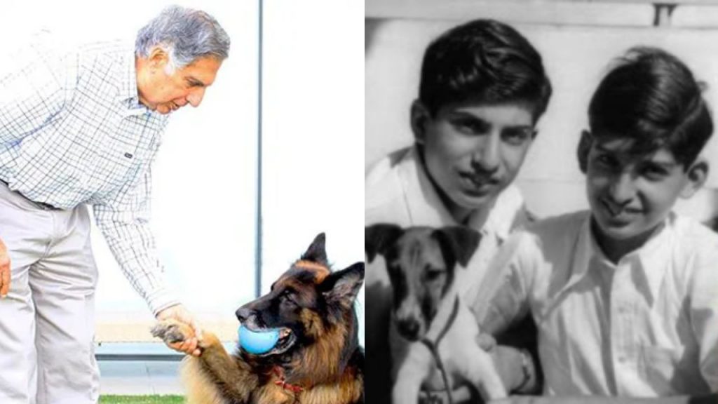 Ratan Tata Champion Of Dogs Stray Animal Care