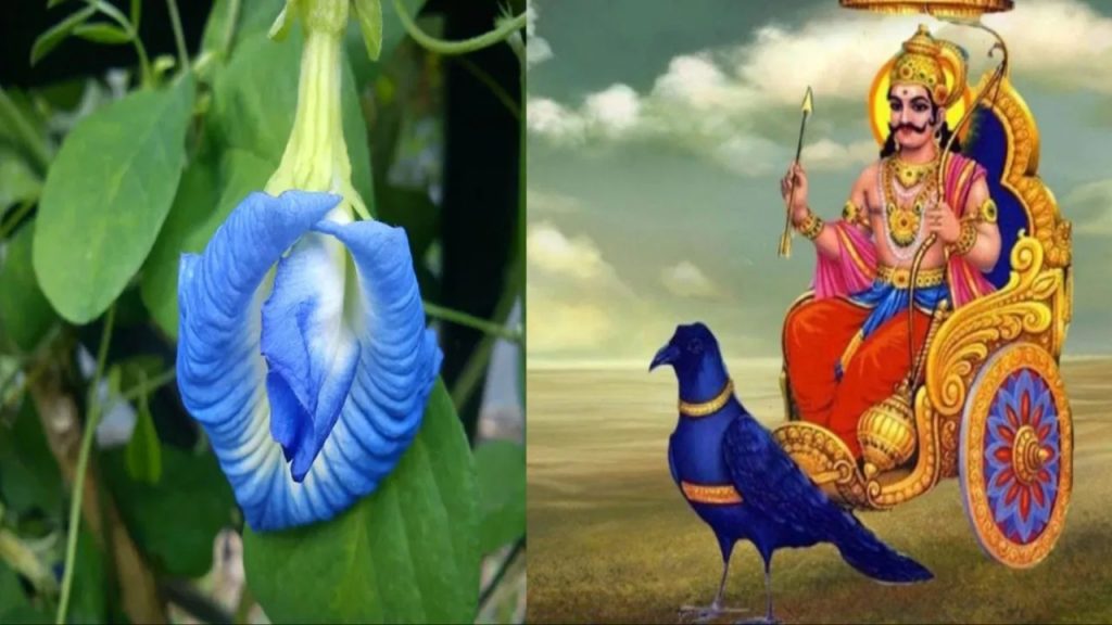 Shani Dev