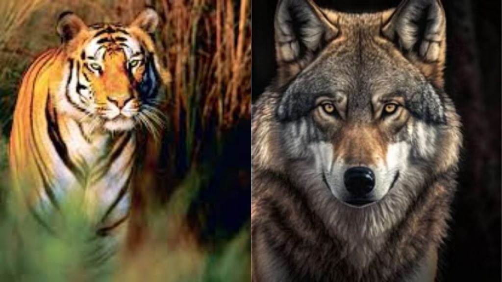 Wild Animals Attacks Two Children Killed In Up Lakhimpur Kheri