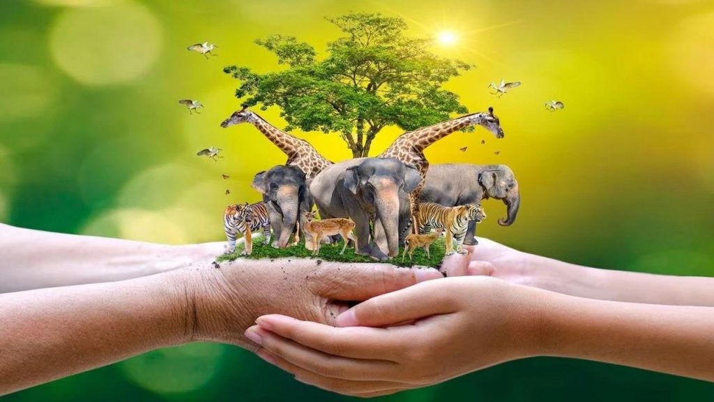 World Animal Welfare Day